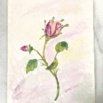 Pembe gül