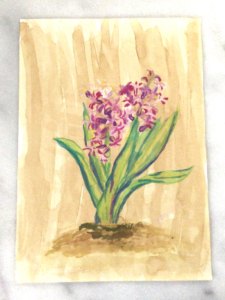 Toprakta ekilmiş sümbül sulu boya resimi