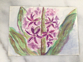 Büyütülmüş suluboya sümbül resmi